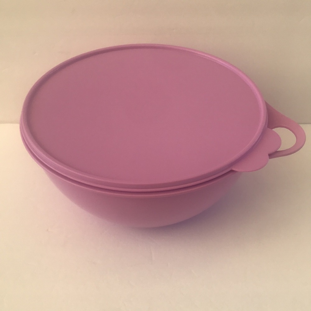 Purple Plastic Bowl with Lid 4.5L/19Cups